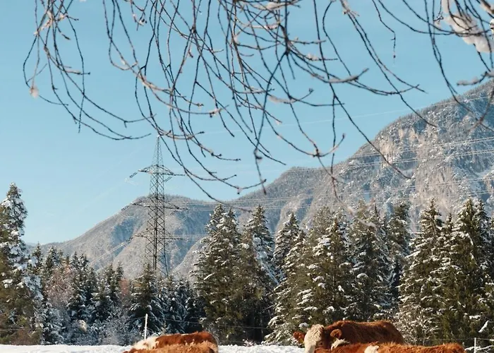 Διαμέρισμα Eichhof Ίνσμπρουκ