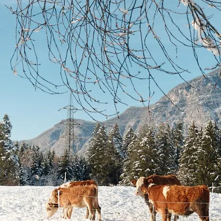 Apartamento Eichhof Innsbruck